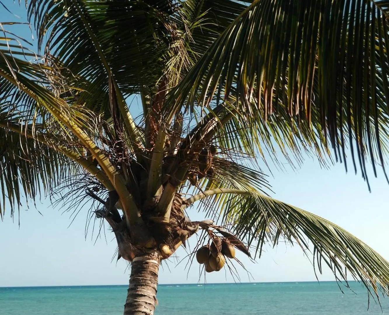 Appartamento Kaoba Oceanfront Residences Tulum Messico